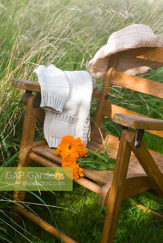 Bunch of Marigolds on a child's garden chair 