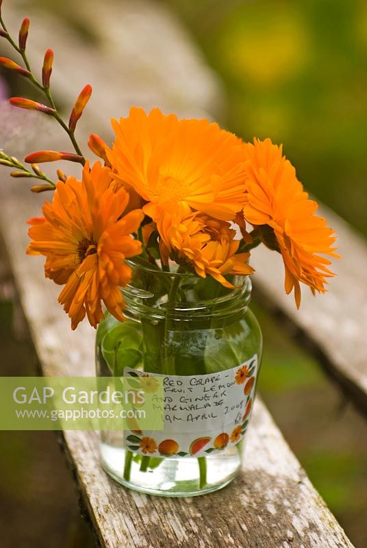 Marigolds in glass marmalade jar