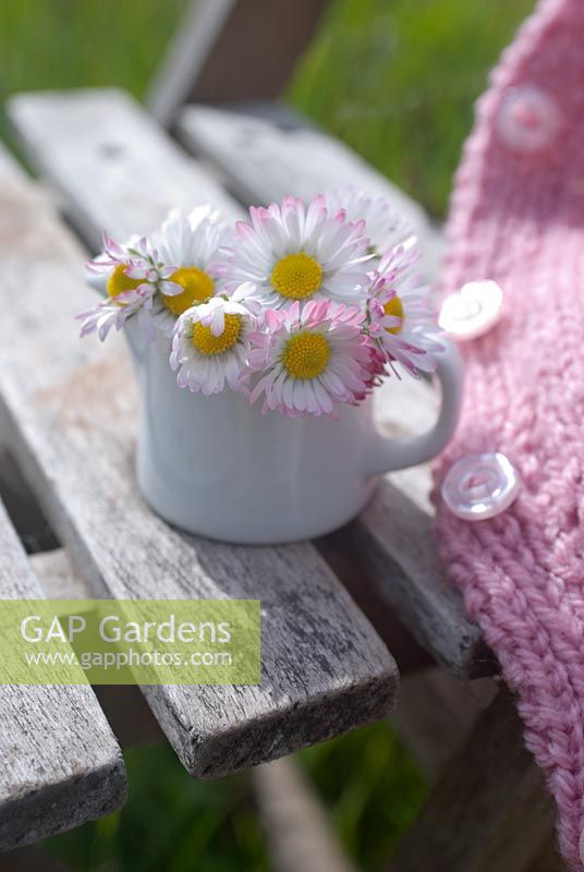 Daisies and pink child's cardigan on rustic seat
