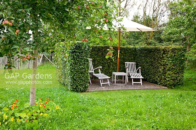 Small private patio area enclosed by hedge