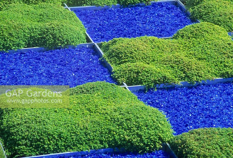 Squares of recycled glass used as paving with Soleirolia growing in alternate sqaures. RHS Chelsea Flower Show 2000