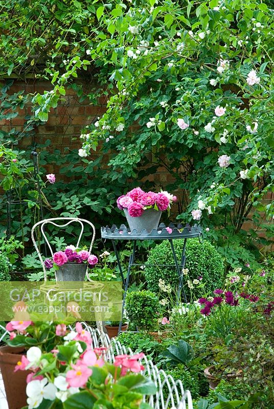 Summer garden with roses displayed on table 