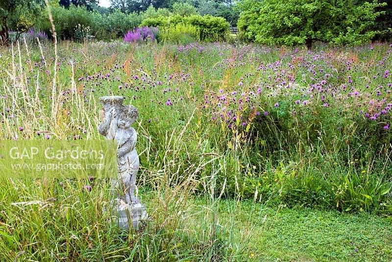 Wildflower meadow in late summer with Centaurea nigra and a stone statue
