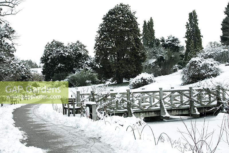 RHS Wisley - Foot bridge, trees covered in snow - December