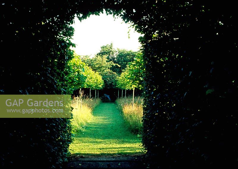 View from within the Carpinus betulus - Hornbeam Tunnel to the meadow and avenue of Corylus colurna. Veddw house garden, Wales.