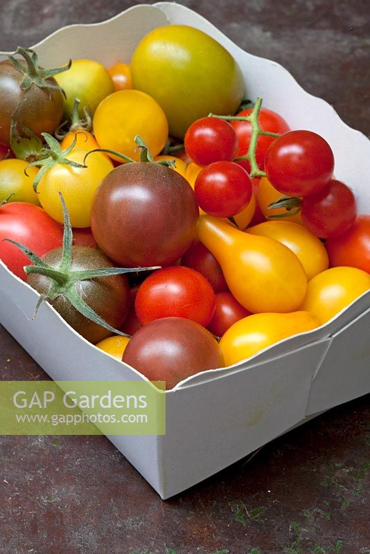 Selection of tomato varieties in cardboard container