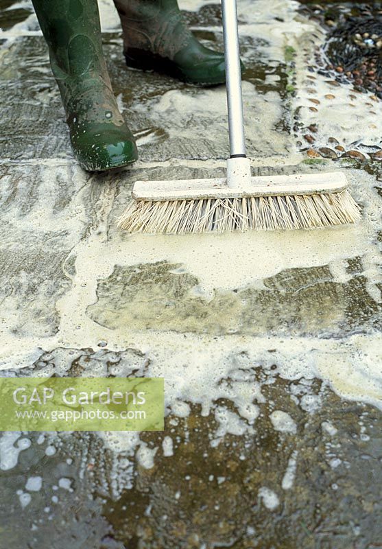 Path cleaning - Flood the area with hot soapy water and using a stiff broom remove the unwanted dirt and bacteria