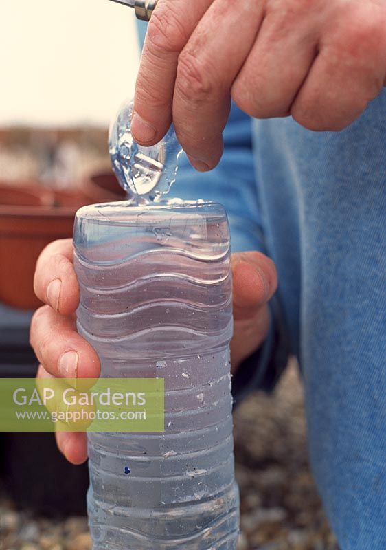 Making a watering system from recycled plastic bottles - Cutting out a good size hole from the bottom of a plastic bottle then remove the cut out piece of plastic