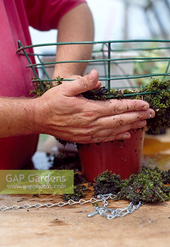 Planting a hanging basket step by step. Stage 3. Firming moss in