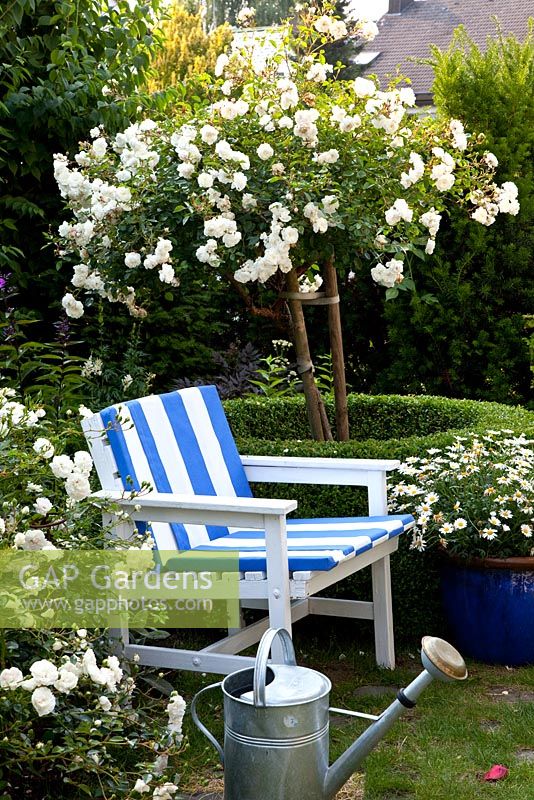 Seat in summer rose garden
