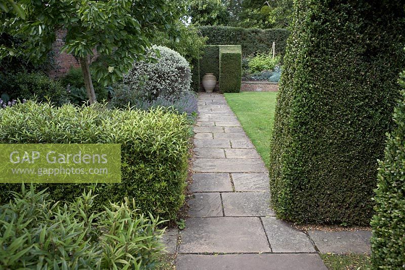 Clipped evergreens including box and Sarcococca with path leading to urn - Hatfield House, Hertfordshire