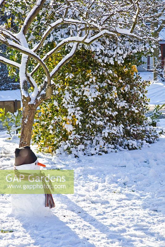 Snowman sitting under tree in garden in winter. January