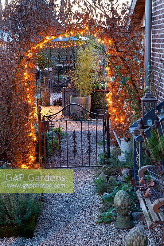 Garden gate under lit up arch