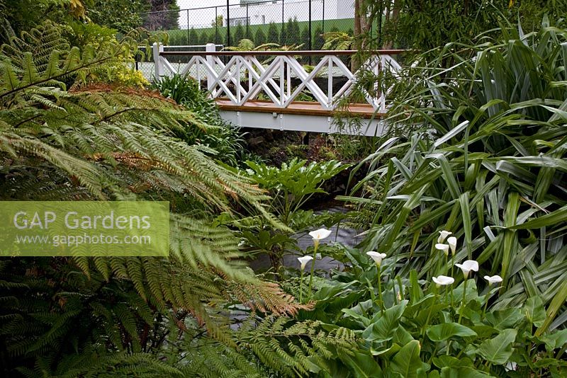 Wooden and metal bridge overlooking water and flowerbed of (left to right) Tree ferns, Fatsia, Arum lilies and silver Astelias