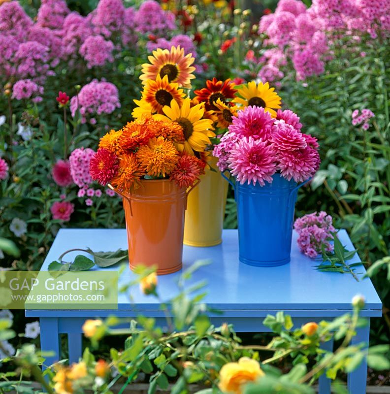 Vibrant coloured buckets of cut flowers including Dahlia and Helianthus