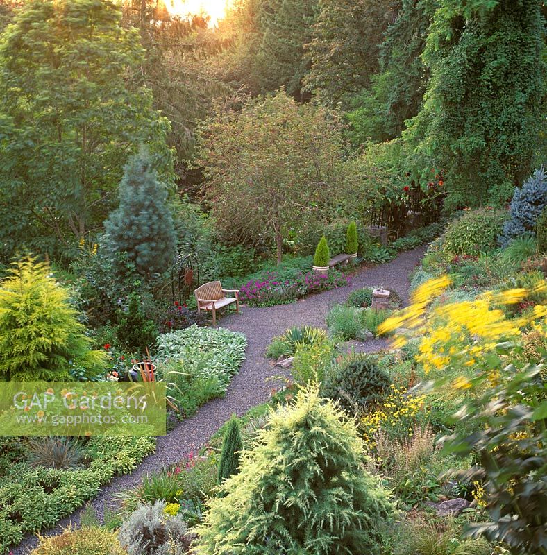 Elevated view of sloping conifer garden