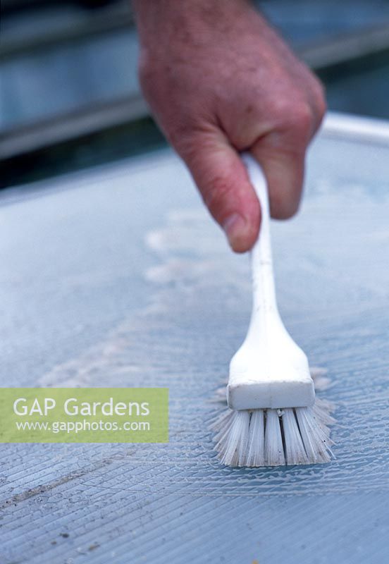 Cleaning a cold frame. Carefully scrub the glass with warm soapy water