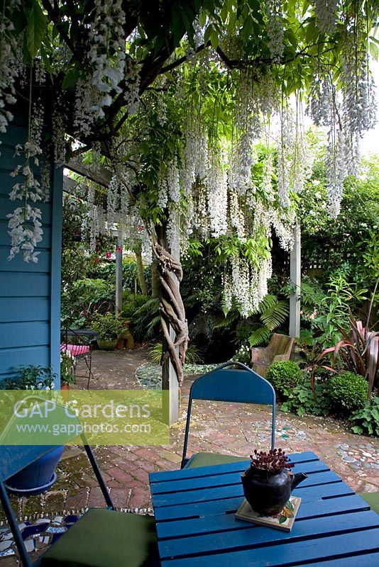 Dining area under a pergola with Wisteria growing up it. No. 11, Christchurch, New Zealand