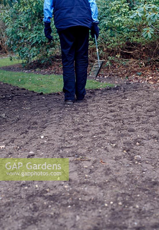 Starting with prepared soil, repeatedly tread and rake the surface to make sure it is firm and at the correct level for the new lawn 