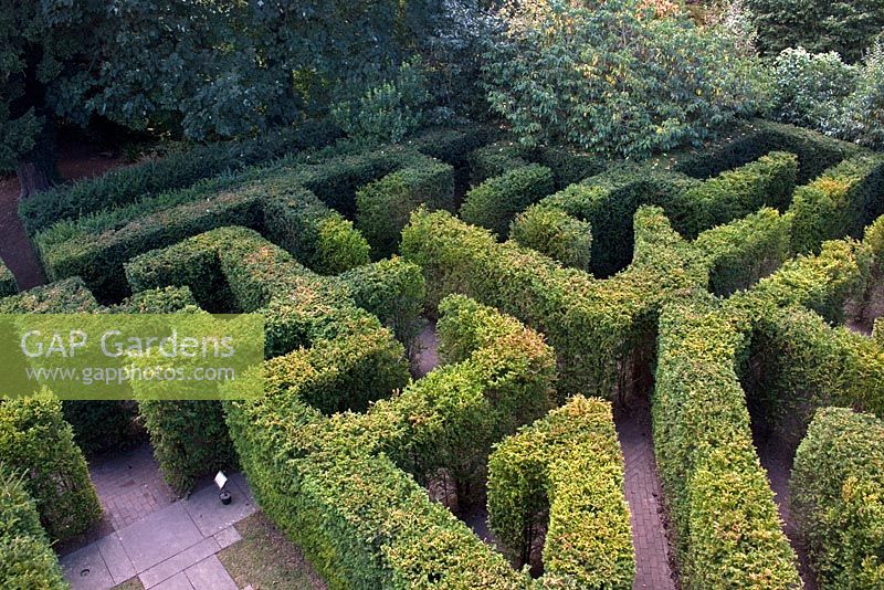 Maze - Hampton Court Garden
