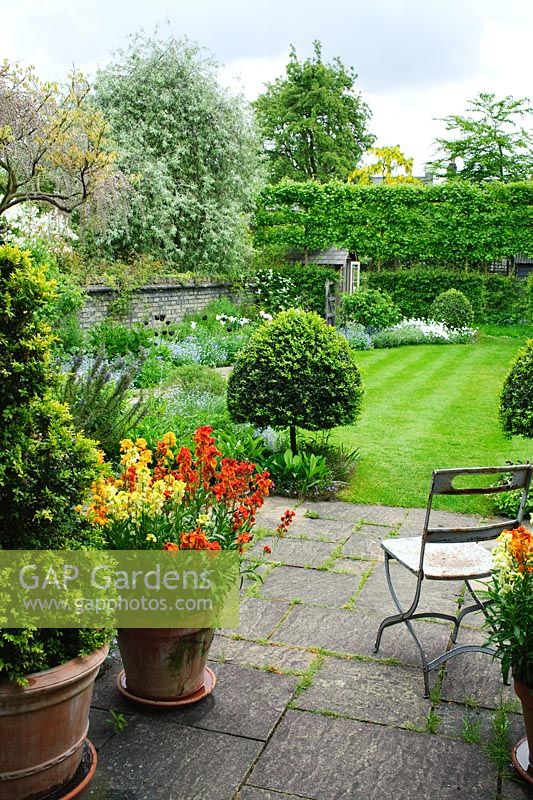 View of terrace and garden in Spring. Vintage folding garden seat, pots of wallflowers. View to lawn with box topiary