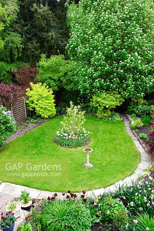 View of neatly kept garden with Sorbus aucuparia in flower, Magnolia underplanted with tulips, stone bird bath, mixed shrubs chosen for their coloured foliage including Philadelphus, Sambucus and Acer