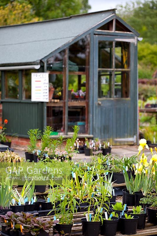 Eastgrove Cottage Garden Nursery