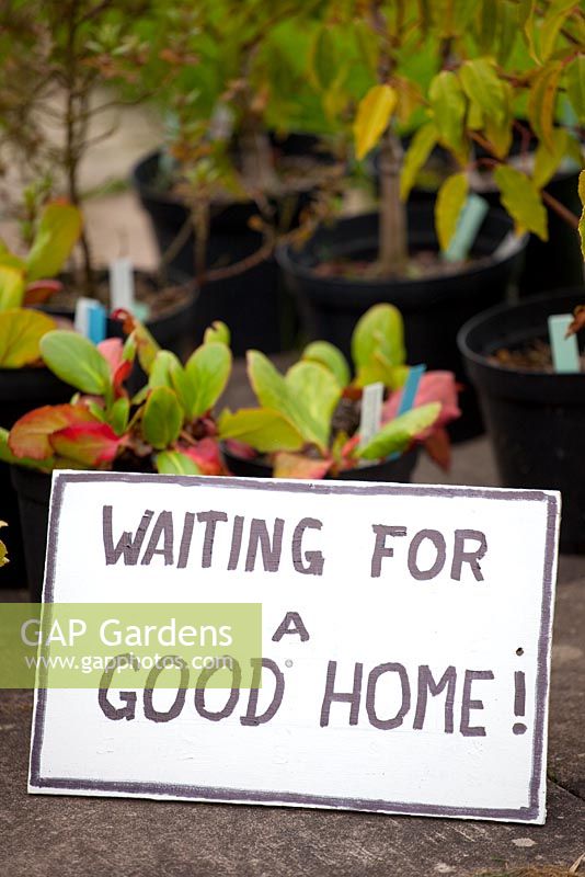 Sign at Eastgrove Cottage Garden Nursery