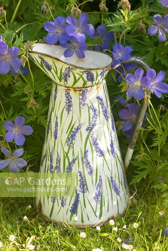 Enamel jug painted with lavender flowers