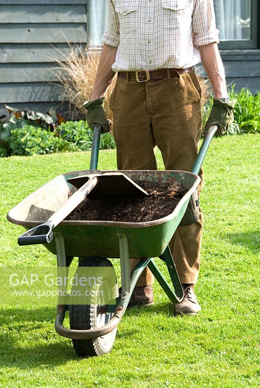 Man with wheelbarrow of homemade compost with large spade, April