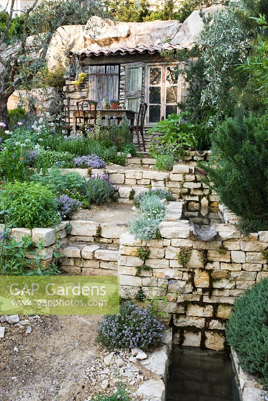 Steps through sloping Mediterranean style garden planted with Lavandula - Lavender, Thymus - Thymes and Olive trees. The L'Occitane Garden, Silver medal winner at RHS Chelsea Flower Show 2010 
 