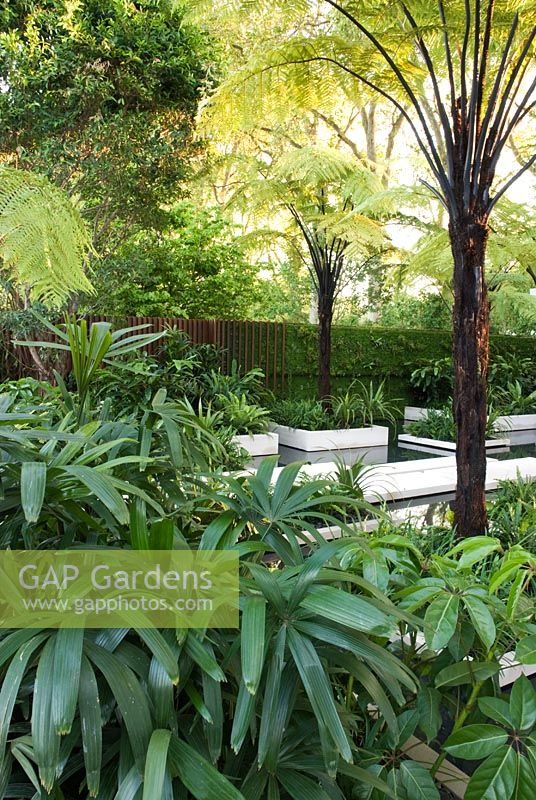 Exotic planting around white paved area over water - The Tourism Malaysia Garden, Gold medal winner, RHS Chelsea Flower Show 2010 
