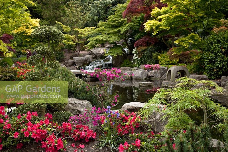 Garden view with Azaleas and waterfall