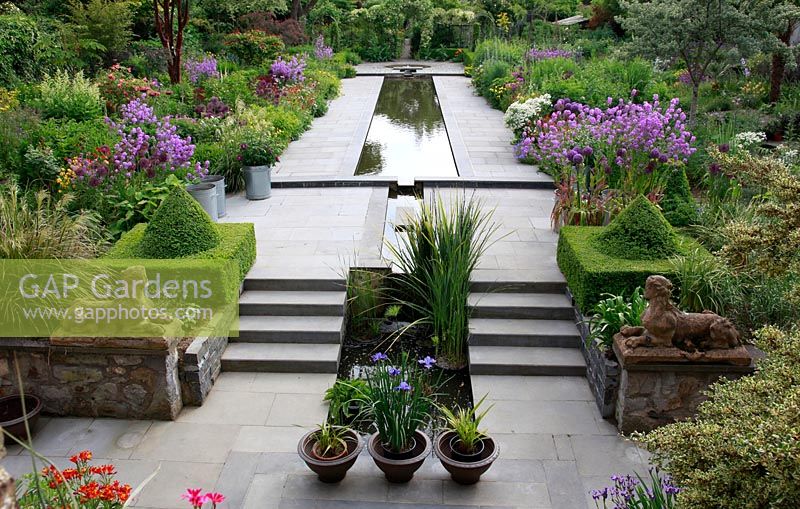 A beautiful garden in Dublin. Colourful borders and topiary. Galvanised metal containers with Allium 'Purple Sensation' and Ornamental Grasses. Iris siberica in terracotta pots. Rectangular pond inspired on the garden of Alhambra in Granada, Spain