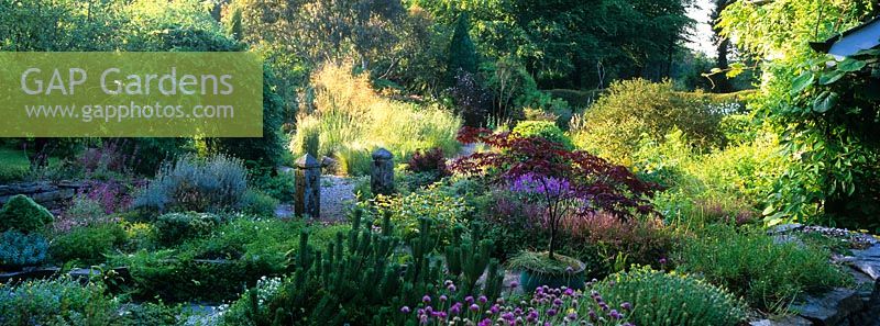 Perennials, grasses, shrubs and trees in the garden at Pinsla Lodge, Cornwall