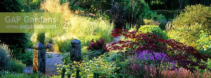 A gravel path leads through perennials, grasses, shrubs and trees in the garden at Pinsla Lodge, Cornwall