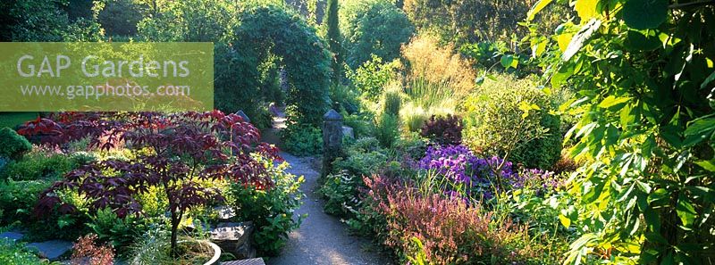 A path leads through perennials, grasses, shrubs and trees in the garden at Pinsla Lodge, Cornwall