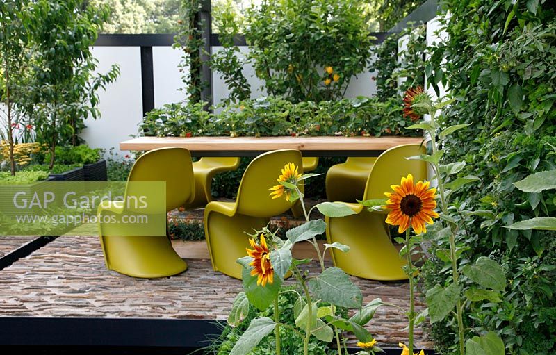 Dining area and patio with Helianthus in foreground. 'Food 4 Thought' - Gold Medal Winner - RHS Hampton Court Flower Show 2010 