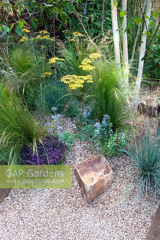 Betula utilis jacquemontii, Thymus 'Redstart', Thymus serphyllum 'Russetings', Helictotrichon sempervirens, Stipa tenuissim, Eryngium bourgatii, Achilea Terracotta, crushed recycled ceramic gravel path with sleepers - 'The Fire Pit Garden' - Silver Medal Winner at the RHS Hampton Court Flower Show 2010 
