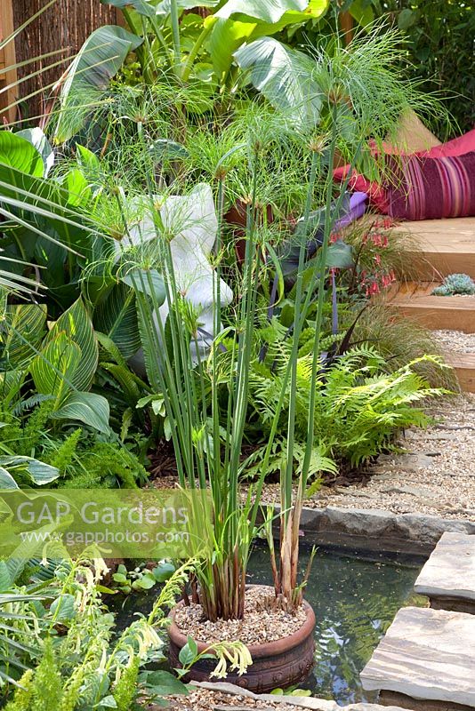Small pond with aquatic plant in container, surrounded by exotic plants. 'The Yoga Garden' - Bronze Medal Winner - RHS Hampton Court Flower Show 2010
 
