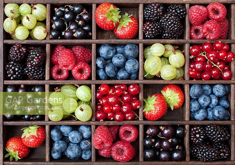 English summer berries in a wooden grid pattern
