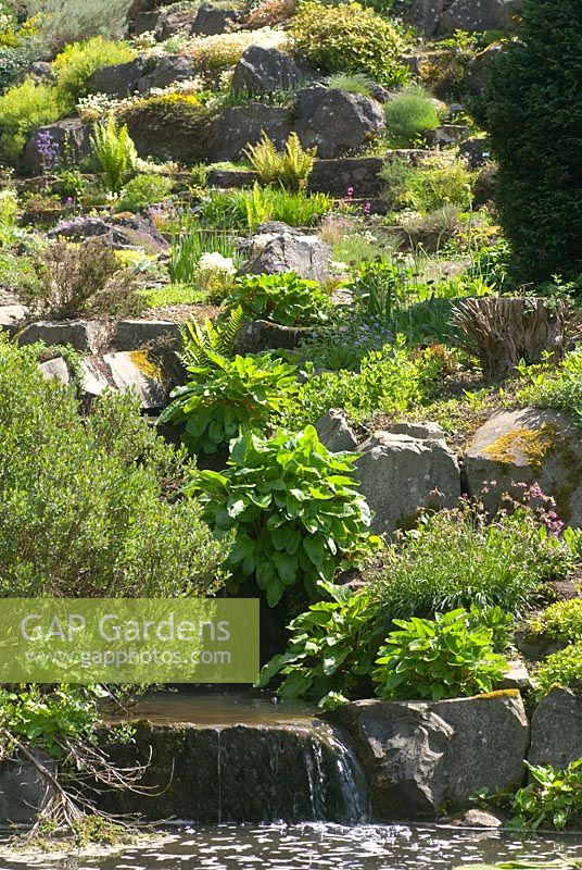 Stream flowing down rock garden at St Andrews Botanic Garden, Scotland