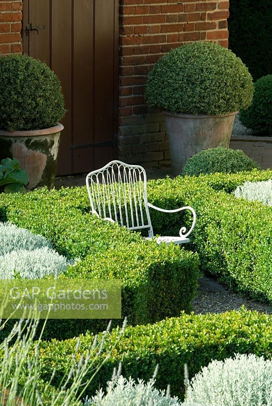 Buxus sempervirens - Box ball in a terracotta pot by formal knot garden with Santolina and child's chair at Heveningham, Suffolk