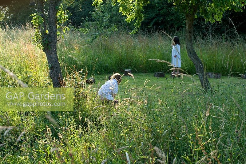 Mown 'crop circle' with logs for children to sit and walk on. Long grass surrounding the fruit trees in the orchard in the evening light - Heveningham, Suffolk