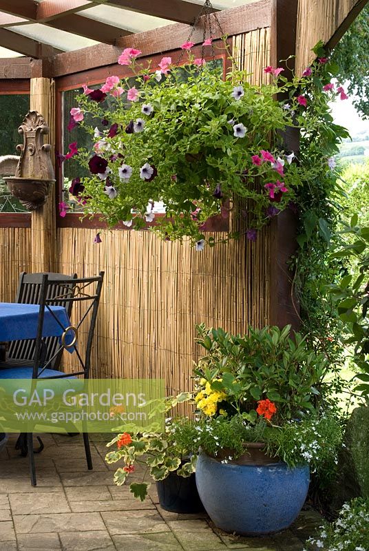 Containers and hanging basket with Petunia, Geranium, Lobelia and Begonia in under cover outdoor living area with bamboo screens - 'Trevinia', Stubbins, Lancashire, NGS