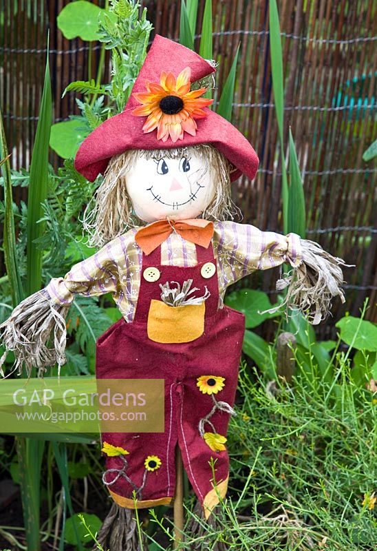 Colourful scarecrow in garden border