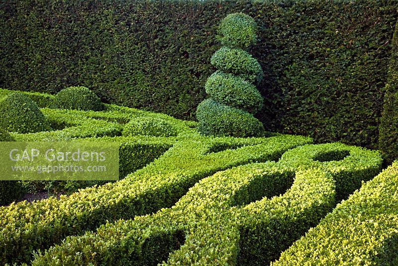 Parterre garden with box hedging - Wilkins Pleck, Newcastle-under-Lyme, Staffordshire, NGS