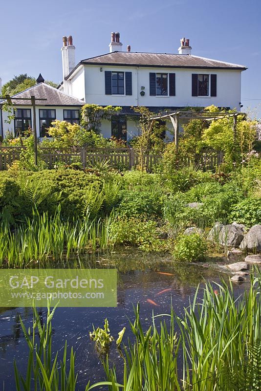 Landscaped water garden at the Millennium Garden, Staffordshire, NGS