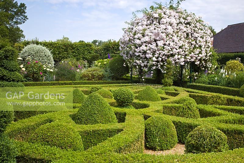 Knot Garden and arch with Rosa 'Paul's Himalayan Musk' - Wilkins Pleck, Newcastle-under-Lyme, Staffordshire, NGS