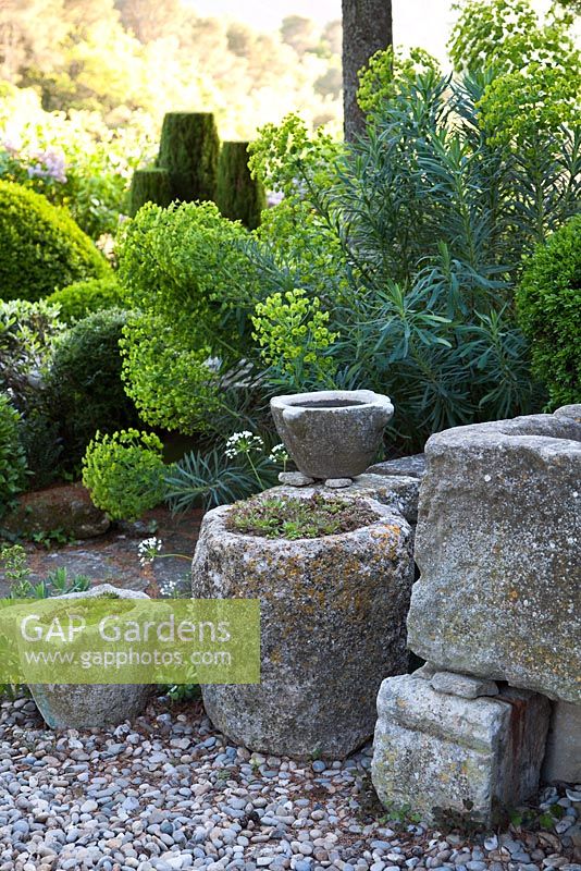 Stone containers with Euphorbia behind - La Louve Garden, Provence, France